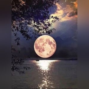 Brilliant Moon Reflecting on the Water